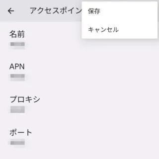 Pixel→Android 13→設定→ネットワークとインターネット→SIM→APN→アクセスポイントの編集