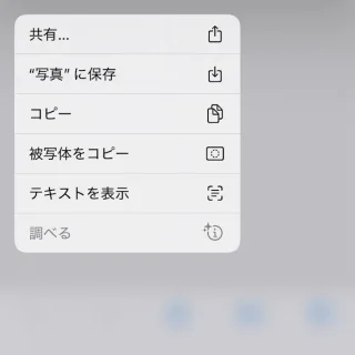 iPhoneアプリ→Safari→コンテキストメニュー→画像