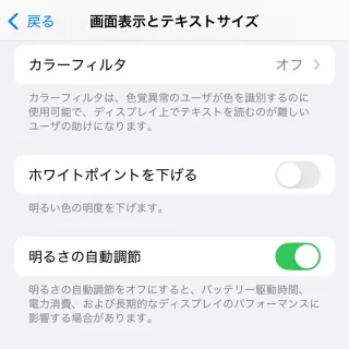 iPhone→設定→アクセシビリティ→画面表示とテキストサイズ