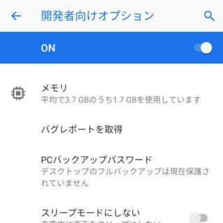 Android 9 Pie→設定→システム→開発者向けオプション