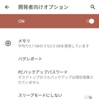 Android 10→設定→システム→開発者向けオプション