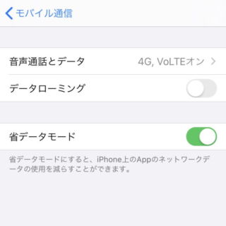 iPhone→設定→モバイル通信→通信のオプション