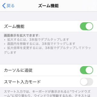 iPhone→設定→アクセシビリティ→ズーム機能
