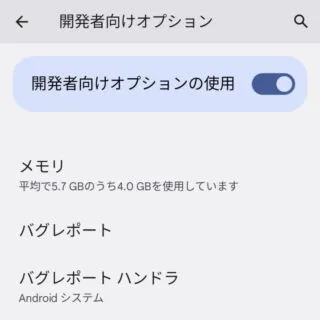 Android 12→設定→システム→開発者向けオプション