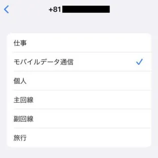 iPhone→設定→モバイル通信→eSIM→モバイル通信プランの名称