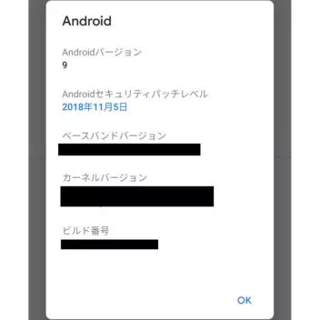 Android 9 Pie→設定→システム→端末情報→Androidバージョン